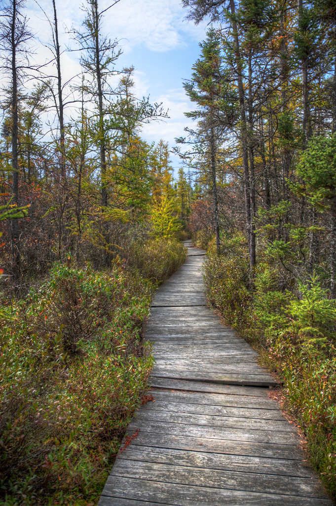 Elevation of Paradise Township, PA, USA Topographic Map Altitude Map