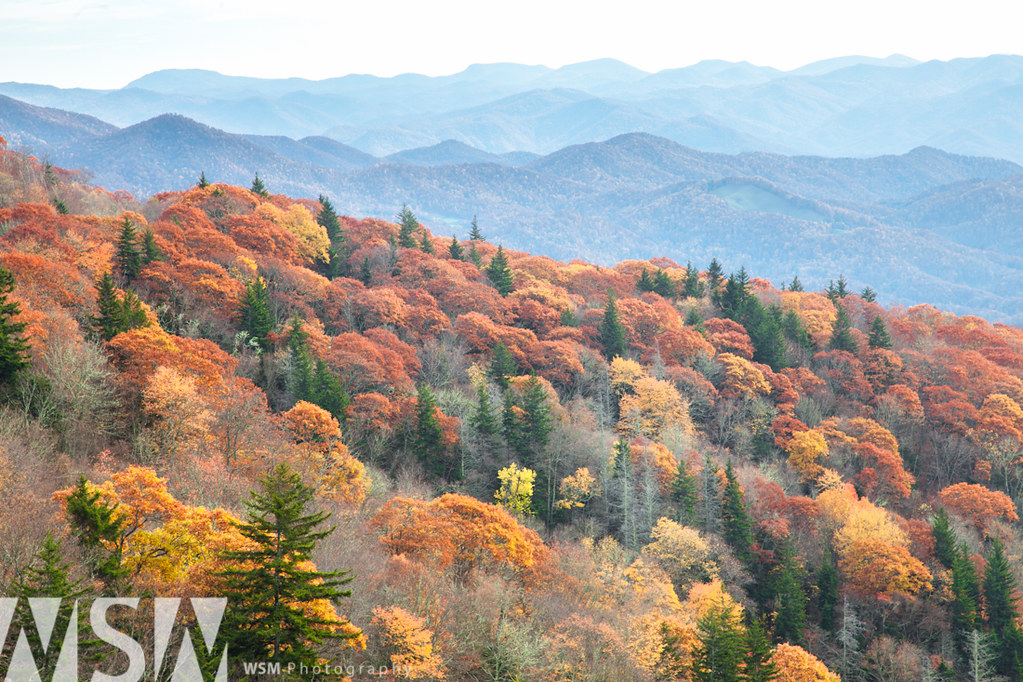 Elevation of Sylva, NC, USA Topographic Map Altitude Map