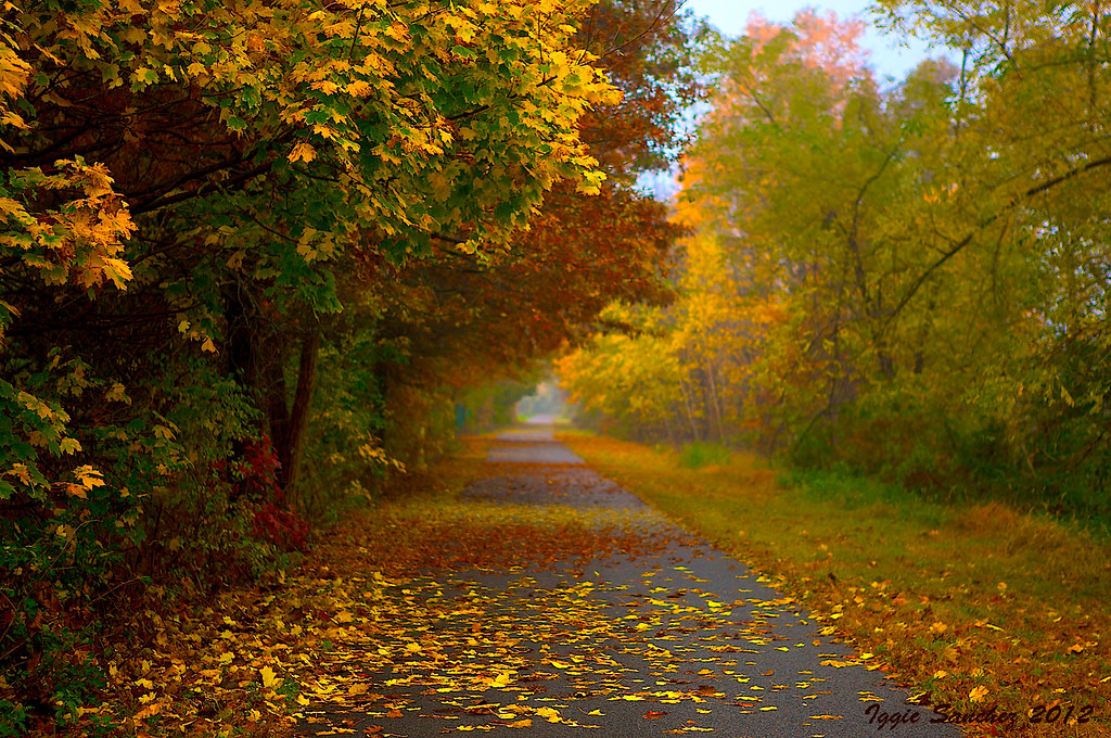 Elevation of Cornwall, NY, USA Topographic Map Altitude Map