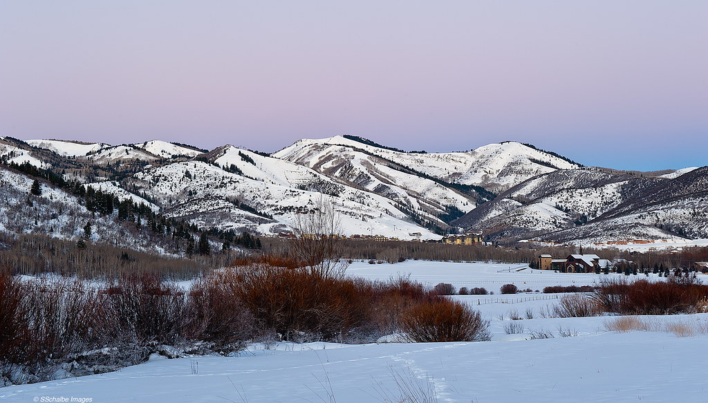 Elevation of S Forest Meadow Rd, Coalville, UT, USA Topographic Map