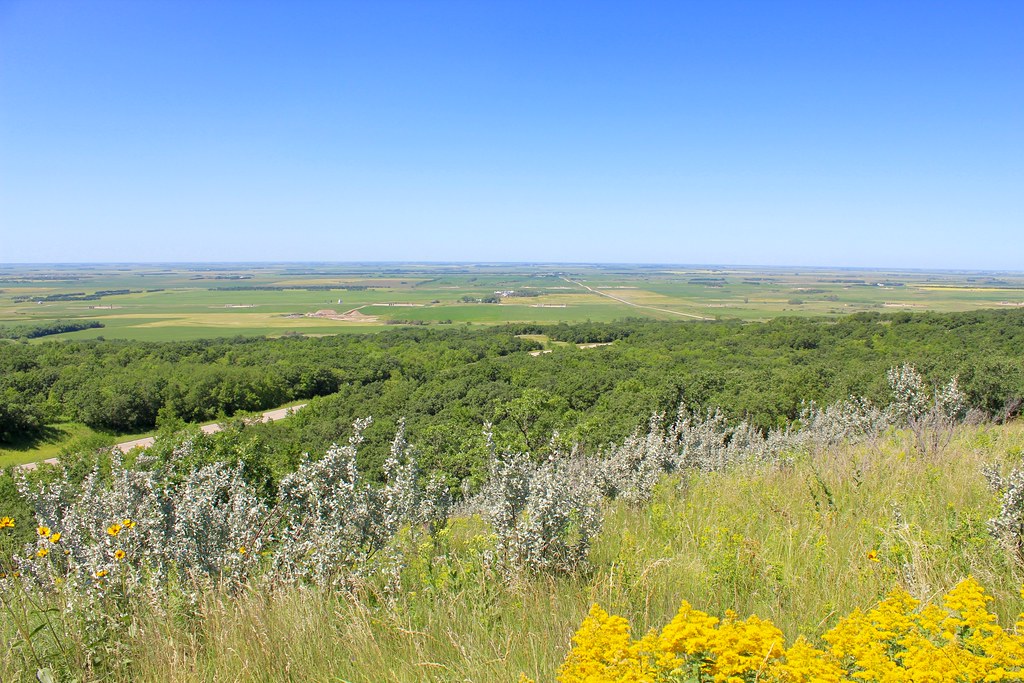 Twisted Oaks Equestrian Campground North Dakota Around Guides
