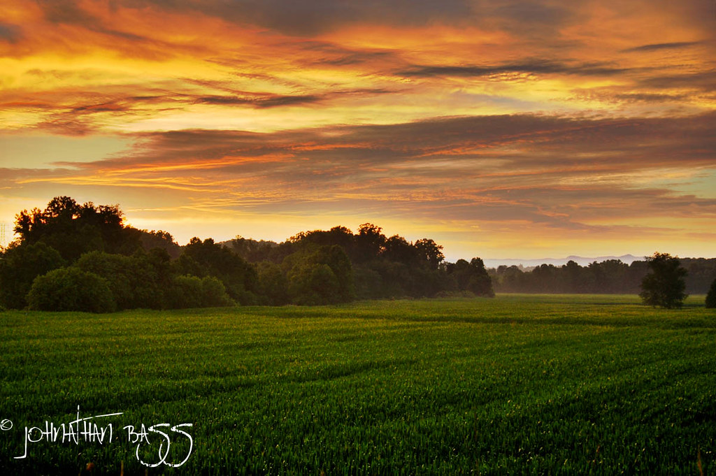Elevation of Wards Gap Rd, Mt Airy, NC, USA Topographic Map