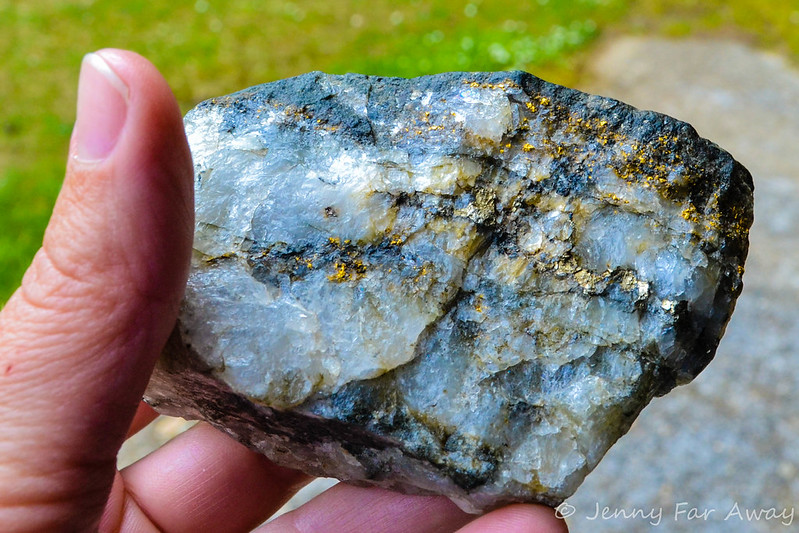 Searching for Gold in Reefton Jenny Far Away