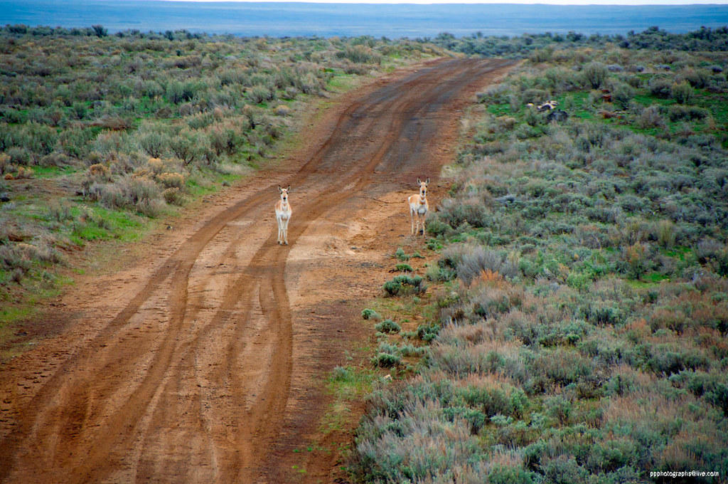 Elevation of Arco, ID, USA Topographic Map Altitude Map