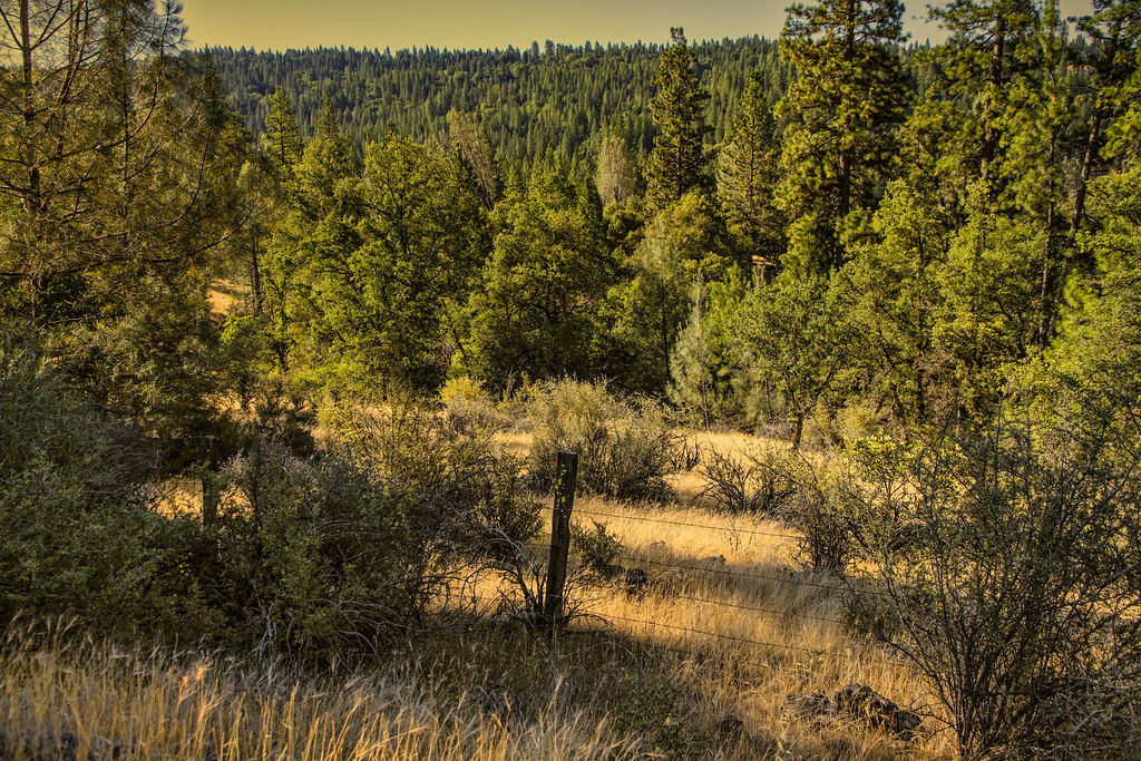 Elevation of Grass Valley, CA, USA Topographic Map Altitude Map