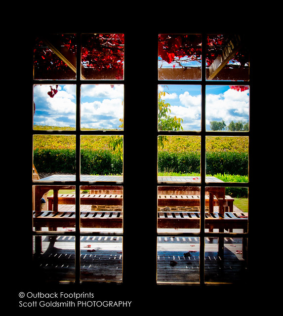 Flickr Photo Sharing!