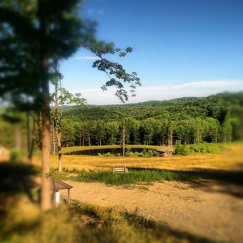 Elevation of Little Genesee, NY, USA Topographic Map Altitude Map