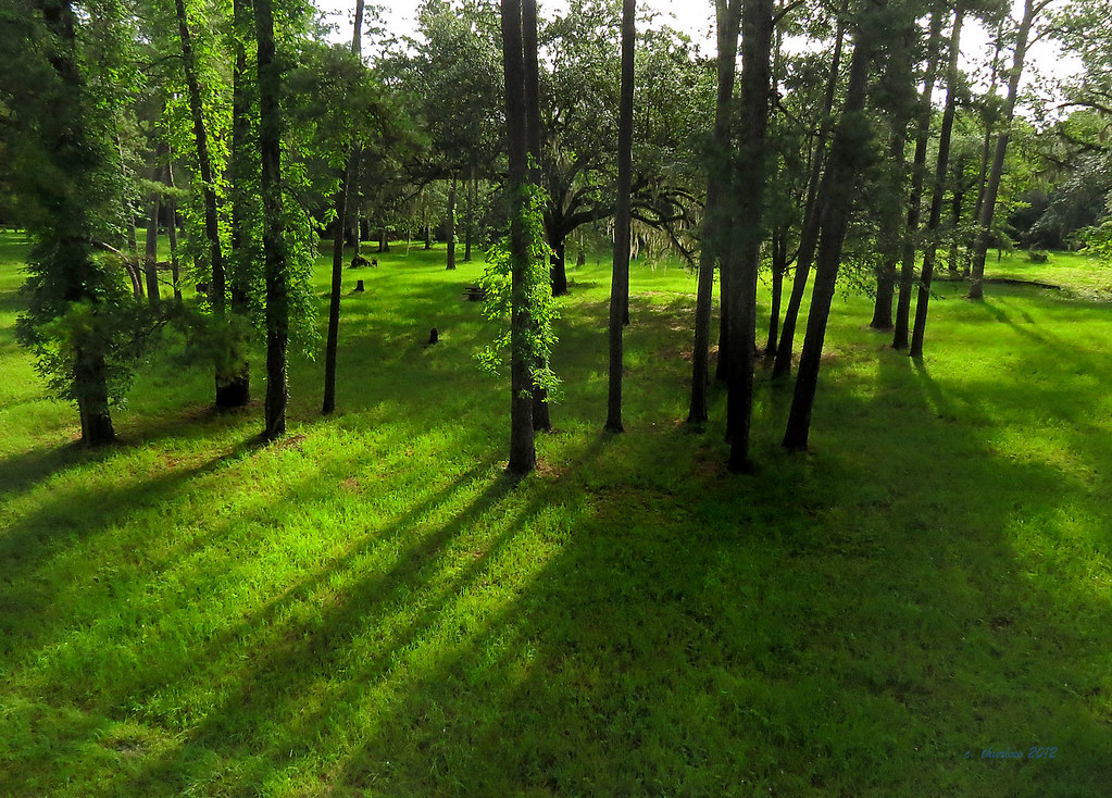 Elevation of Co Rd, Jennings, FL, USA Topographic Map Altitude Map