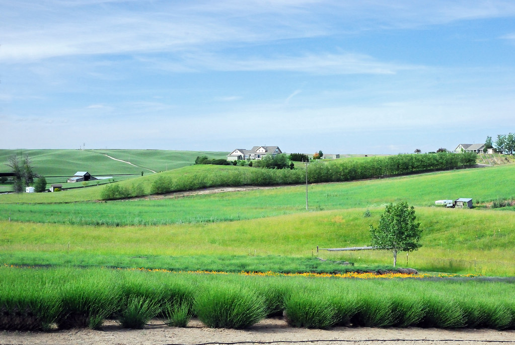 Elevation of Touchet, WA, USA Topographic Map Altitude Map