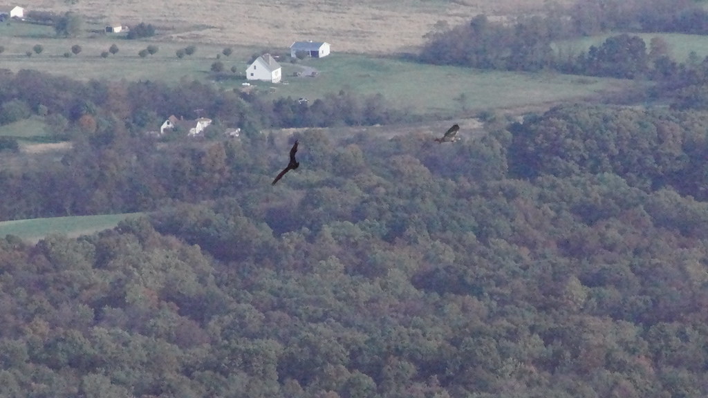 Elevation of Loysville, PA, USA Topographic Map Altitude Map
