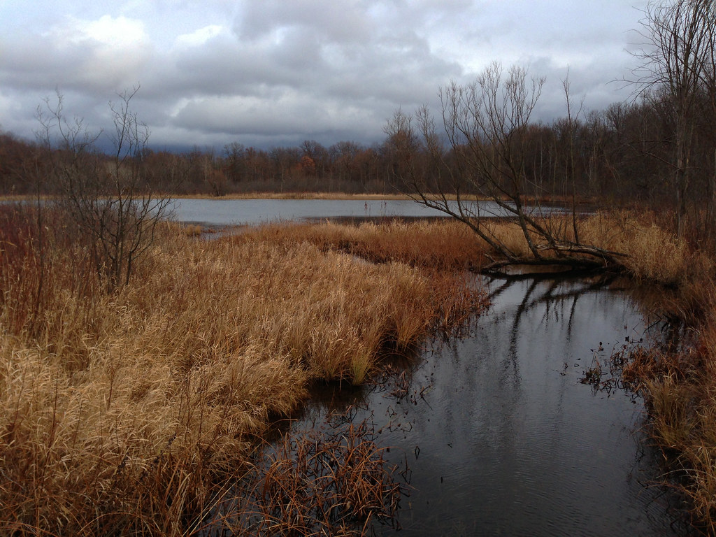 Elevation of Dryden Township, MI, USA Topographic Map Altitude Map