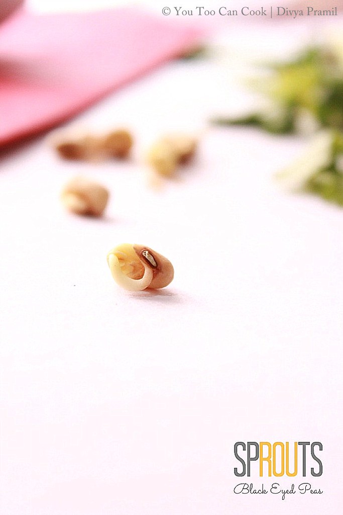 Easy Sprouts Biryani Black Eyed Peas & Green Gram Sprouts Biryani