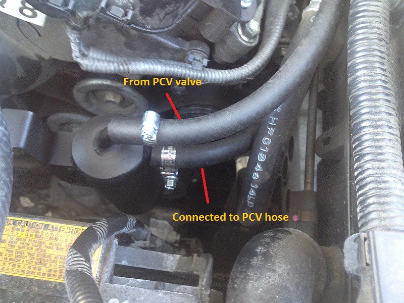 The Oil Catch Can Experiment - ClubLexus - Lexus Forum Discussion