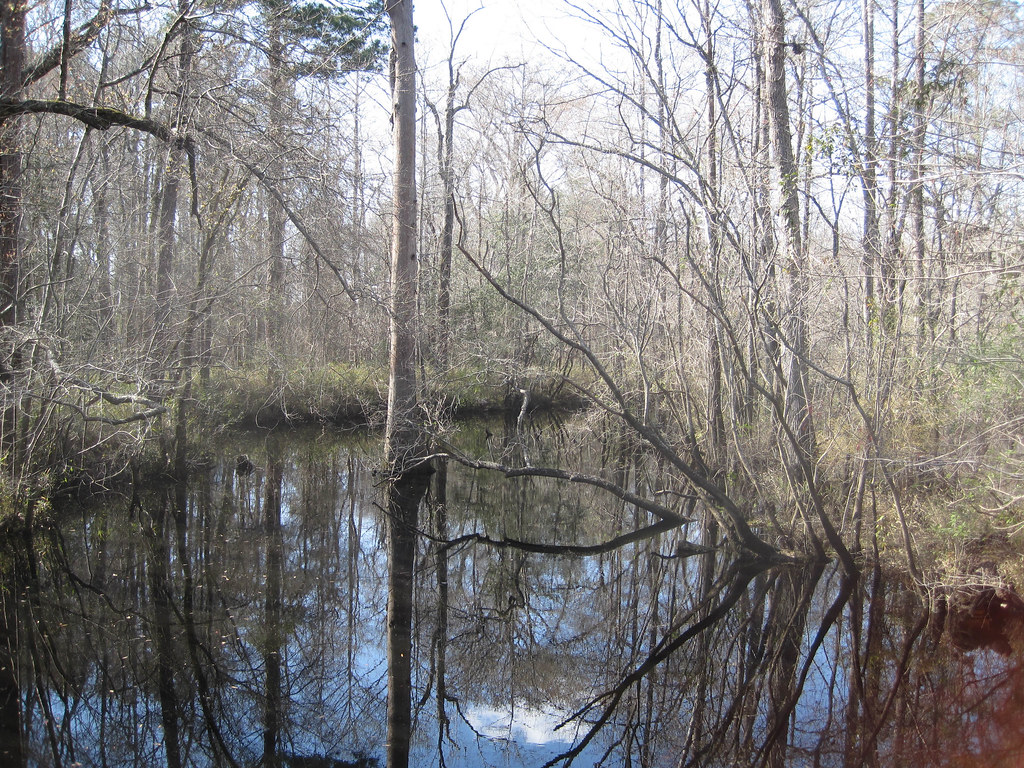 Elevation of NC, Kelly, NC, USA Topographic Map Altitude Map