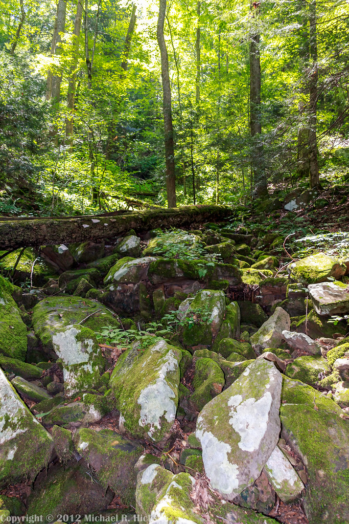 Elevation of Wartburg, TN, USA Topographic Map Altitude Map