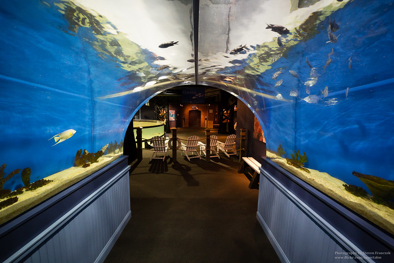 Greater Cleveland Aquarium FM Forums