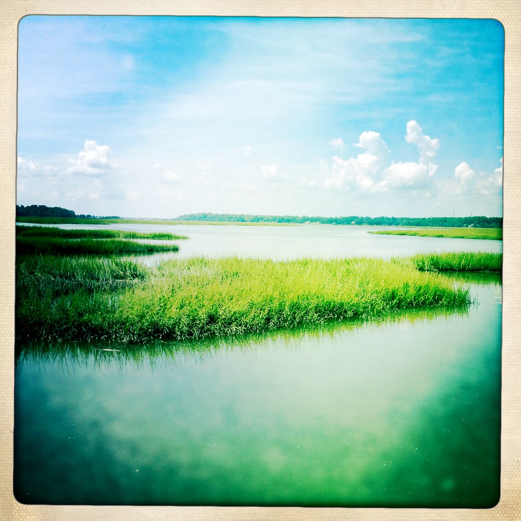 Elevation of The Landings, Skidaway Island, GA, USA Topographic Map