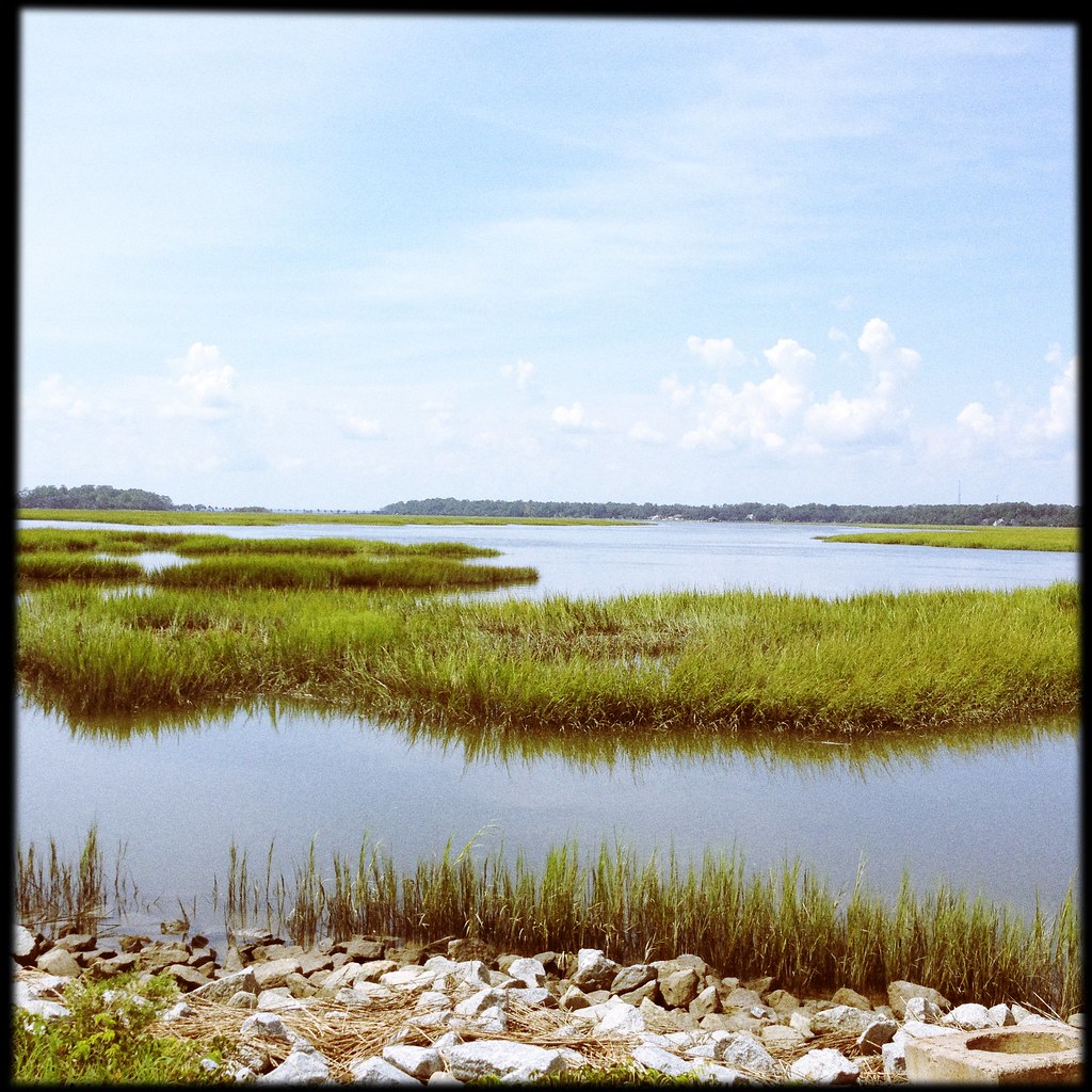 Elevation of The Landings, Skidaway Island, GA, USA Topographic Map
