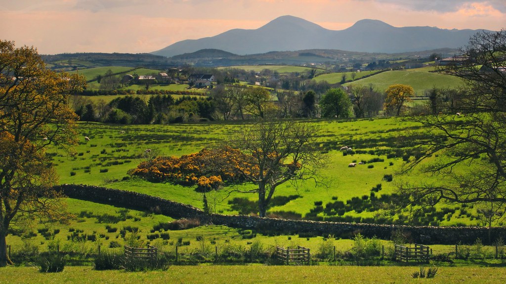 Elevation of 8 Kilmore Rd, Crossgar, Downpatrick BT30 9HP, UK