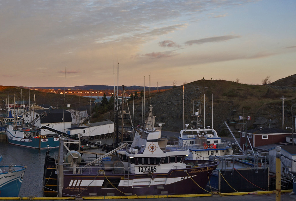 Port de Grave Map Newfoundland and Labrador Mapcarta