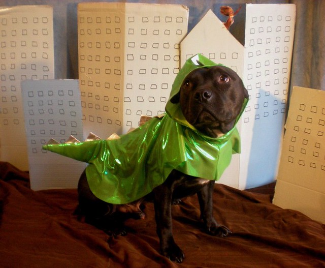 Dog godzilla costume Flickr Photo Sharing!