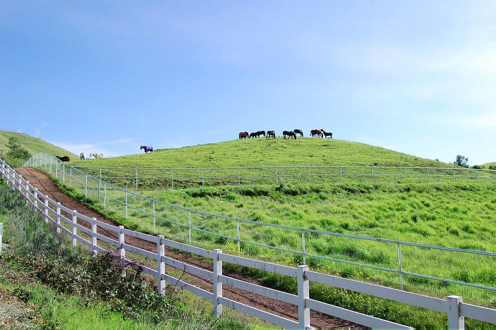 About the Ranch Indian Hills Ranch