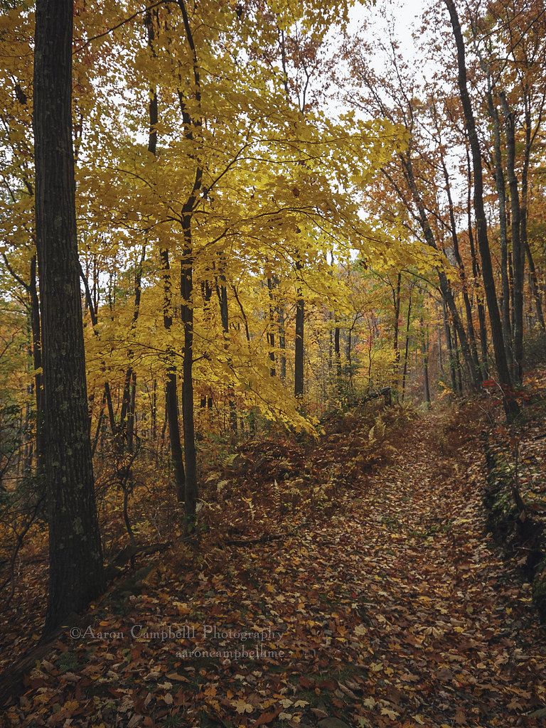 Elevation of Harveys Lake, PA, USA Topographic Map Altitude Map