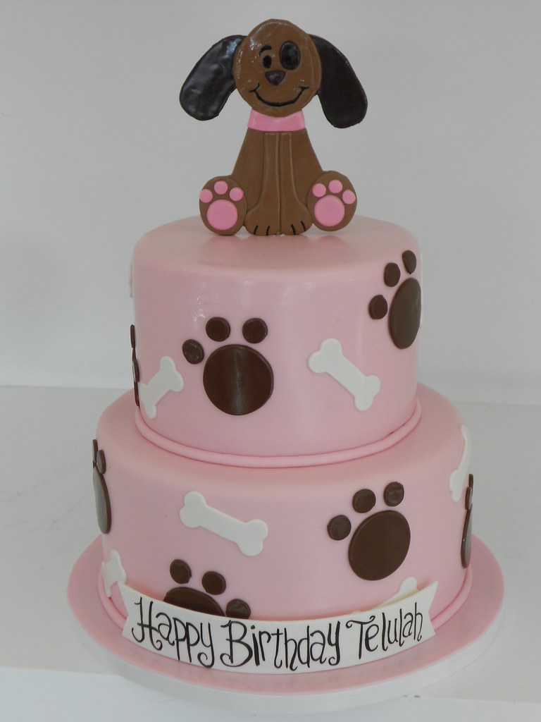 Girly Puppy Dog Cake 016 www.asweetdesign.info 818.363.982… Flickr