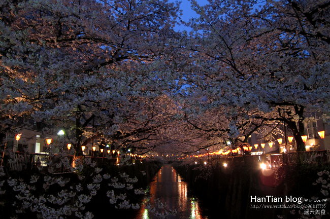 【東京賞櫻】中目黑站｜目黑川 x 夜櫻 @ 打燈後的櫻花浪漫無限大