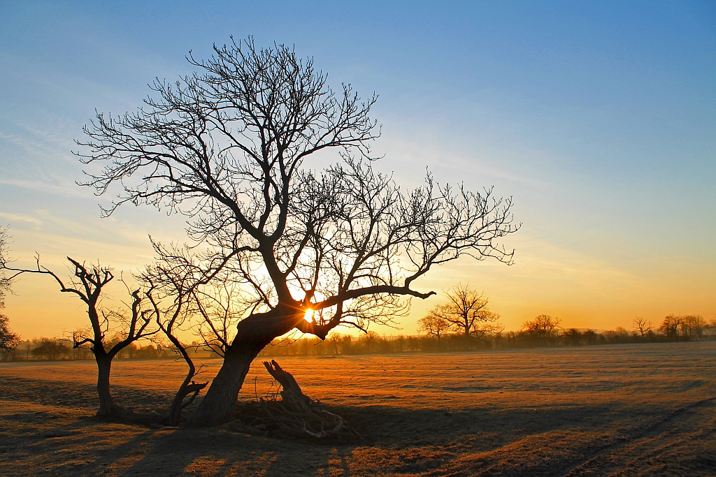 Dunton, Biggleswade SG18, UK Sunrise Sunset Times
