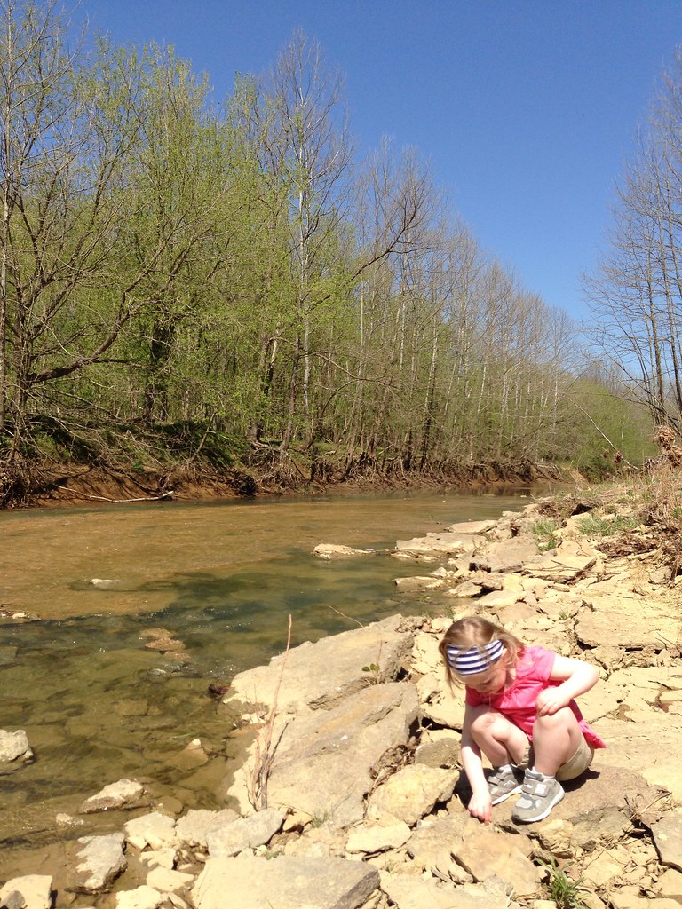 Elevation of Pleasureville, KY, USA Topographic Map Altitude Map