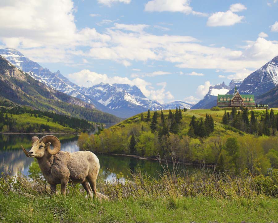 Elevation of Waterton Lakes National Park of Canada, AB5, Waterton