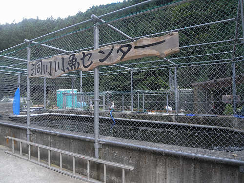 新鮮な塩焼きがいただける『洞川川魚センター』＠天川村 (by 奈良に住んでみました)