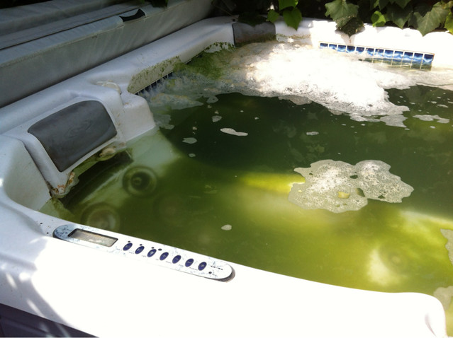 Flickriver Photos from Ace Starry
