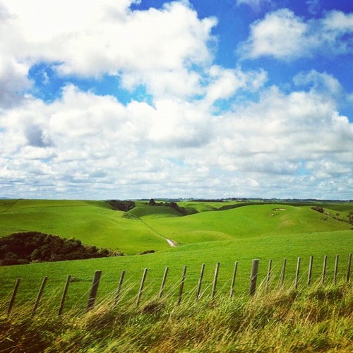 Elevation of Marton, New Zealand Topographic Map Altitude Map