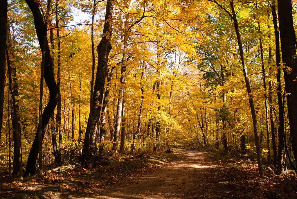 Elevation of S Main St, Eldorado, OH, USA Topographic Map Altitude Map