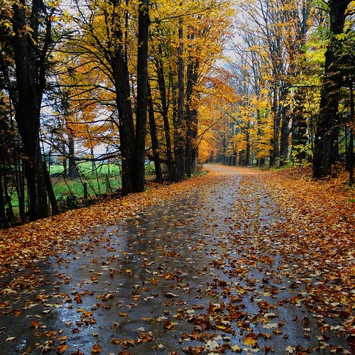 Elevation of Orchard Valley Waldorf School, VT14, East Montpelier, VT
