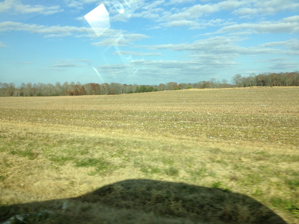 Elevation of Lester Rd, Lester, AL, USA Topographic Map Altitude Map