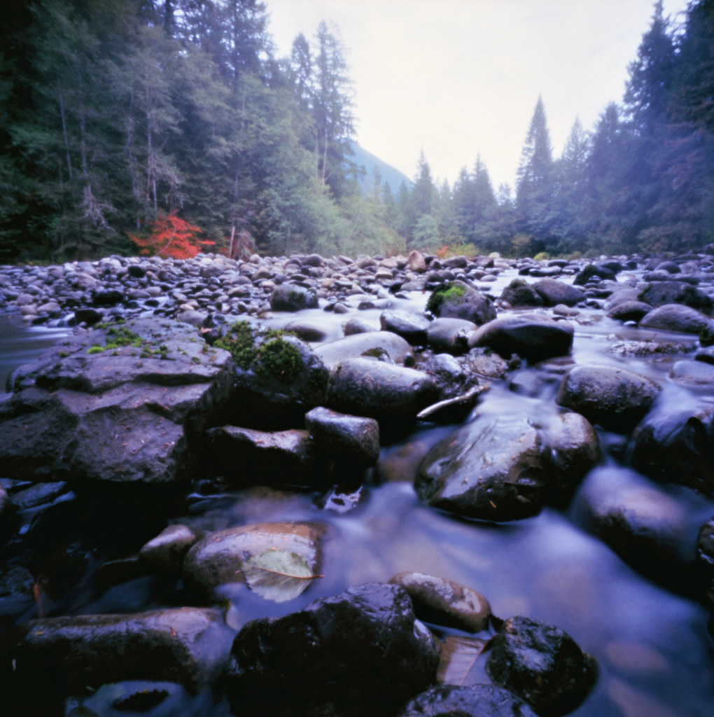 Elevation of Maple Falls, WA, USA Topographic Map Altitude Map