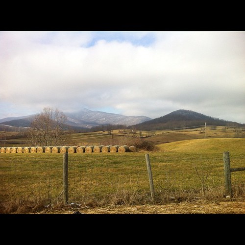 Elevation of Amissville, VA, USA Topographic Map Altitude Map