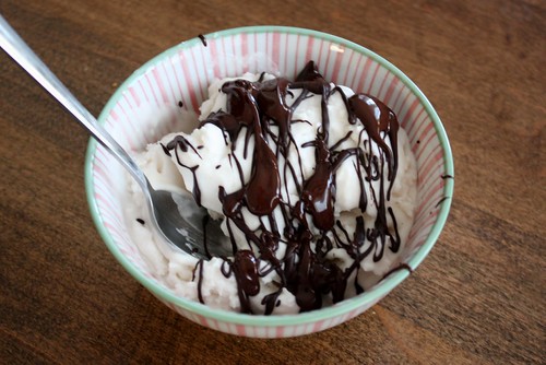 Coconut Milk Ice Cream Without a Machine {Dairy Free} Life at Cloverhill