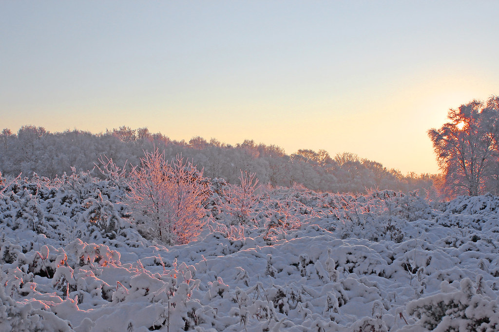 Hethel, Norwich NR14, UK Sunrise Sunset Times