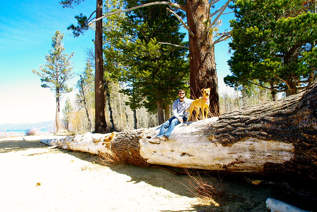 How to Drive Around Lake Tahoe in a Day Traveling 9 to 5