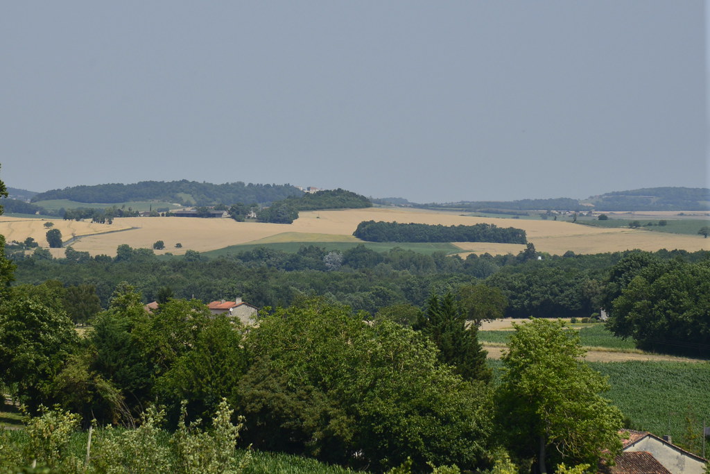 PHOTO LA TOURBLANCHE Photos pictures La TourBlanche 24320