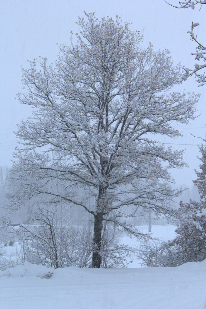 Introdacqua Map L'Aquila, Italy Mapcarta