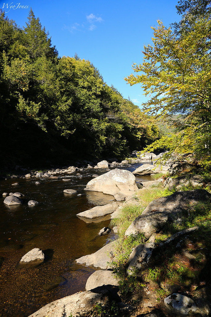 Elevation of Winhall, VT, USA Topographic Map Altitude Map
