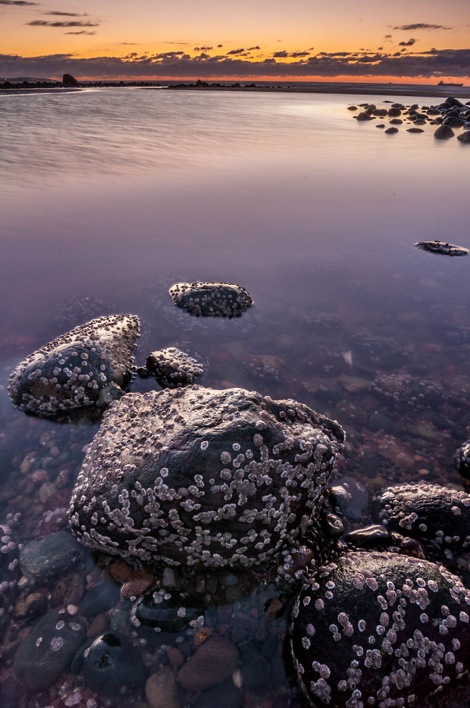 Elevation of Prince of Wales, NB E5J, Canada Topographic Map