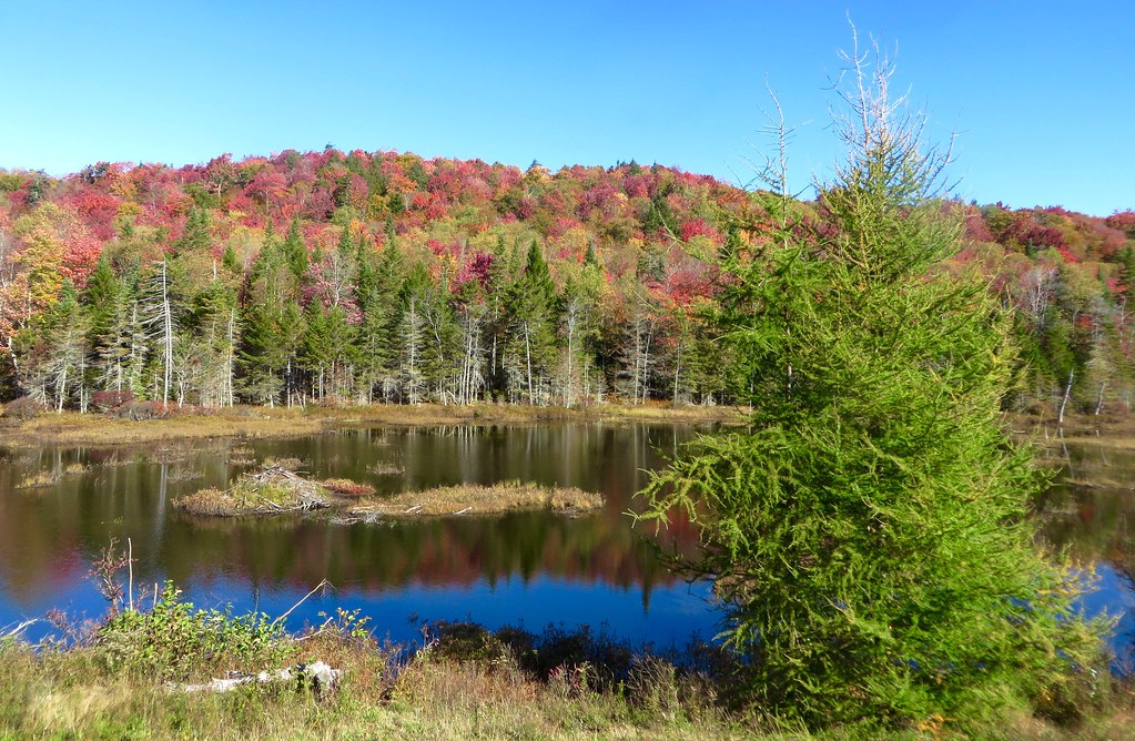 Fourth Lake Map New York Mapcarta