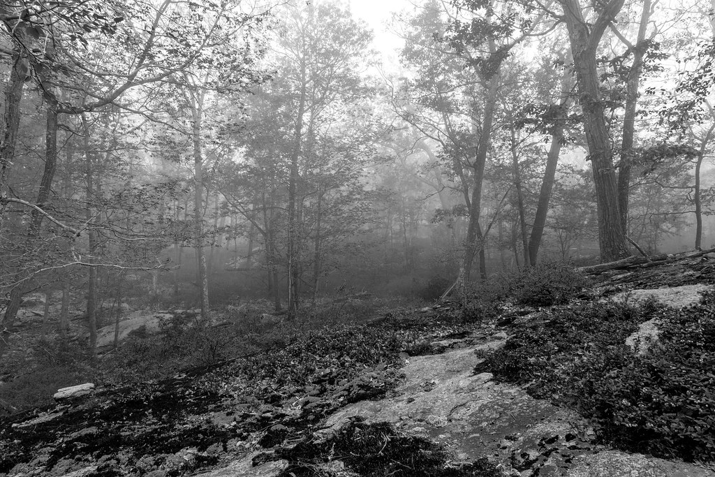 1 Kings Dr, Tuxedo Park, NY, USA Sunrise Sunset Times