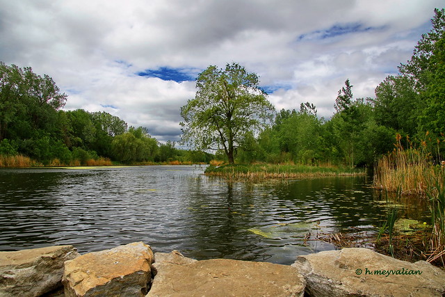 Parc Angrignon